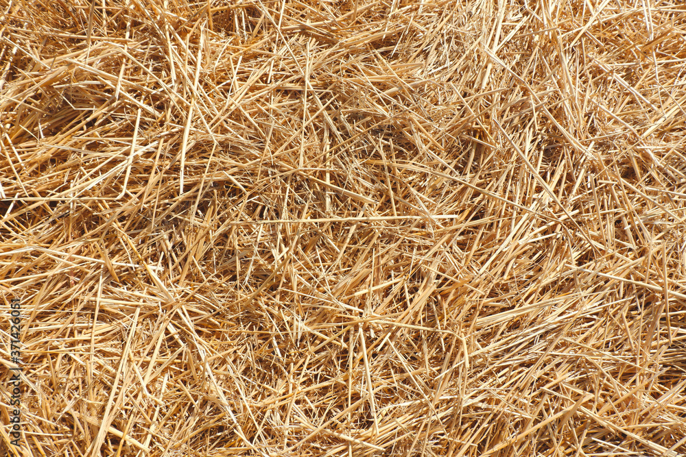Mown hay. Autumnal, seasonal background, backdrop Mown hay. Autumnal, seasonal background, backdrop