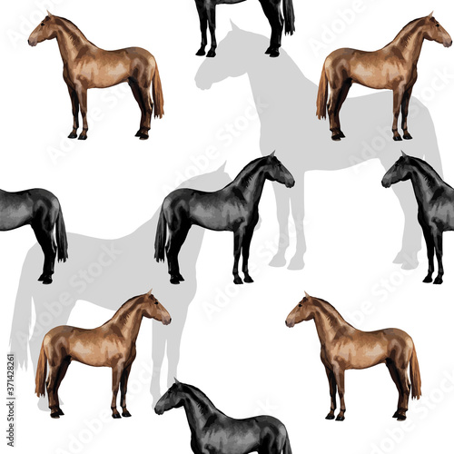 seamless background of realistic figures of horses, on a white and colored background for packaging, postcards, notebooks, fabrics