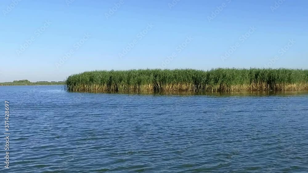 Beautiful scene in Danube Delta Beautiful scene in Danube Delta