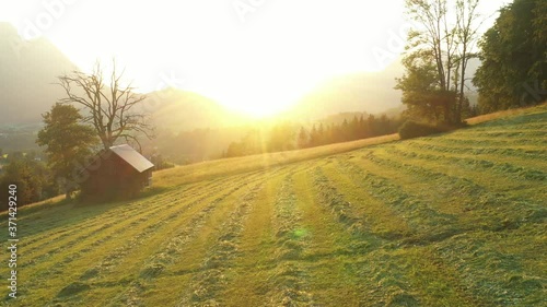 Beautiful Sunset over a freshly mown Meadow, Alps, Austria