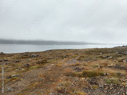 Greenlandic landscape