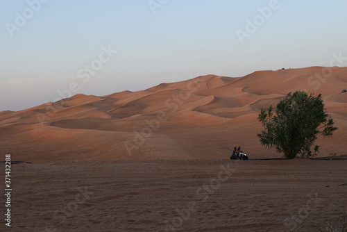 evening view of desert