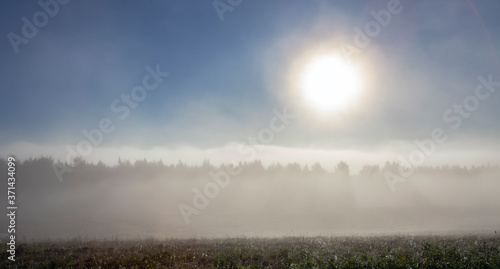 Morning sun in the mist over the forest and the field in the dew.