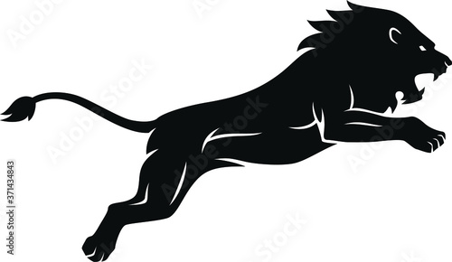 Silhouette of Aggressive Lion Jumping Attack The Prey