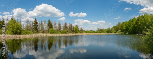 panorama small pond surrounded by trees and reeds with mirrored