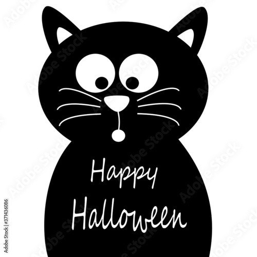 Black cat isolated on white background.