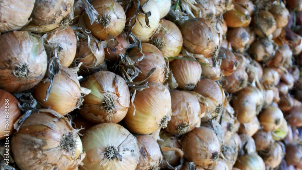 Dry Onion Vegetable Dry Onion Vegetable