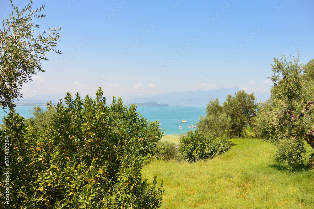 Green glade on the background of the lake and blue sky Green glade on the background of the lake and blue sky