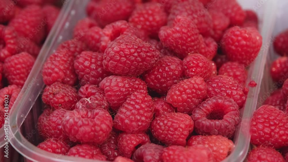 Raspberry in a plastic box. Overhead view of fresh raspberries in trays. Fresh delicious red raspberries in boxes. Ripe Raspberries. The Concept Of Healthy Food. Raspberry in a plastic box. Overhead view of fresh raspberries in trays. Fresh delicious red raspberries in boxes. Ripe Raspberries. The Concept Of Healthy Food.