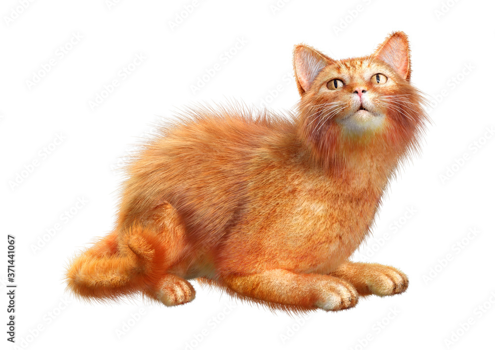 3D Rendering Red Cat on White 3D Rendering Red Cat on White