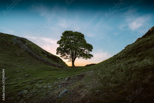 Hadrians wall sycamore gap in north east England.
