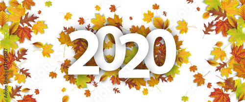 Autumn Foliage Fall 2020 White Banner