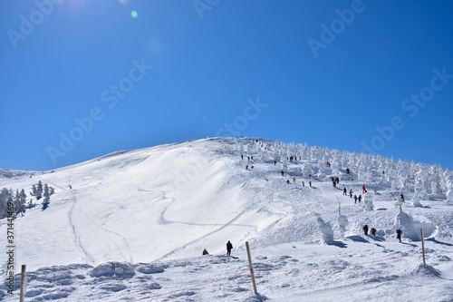 冬晴れの蔵王温泉スキー場と樹氷群 © shiryu01