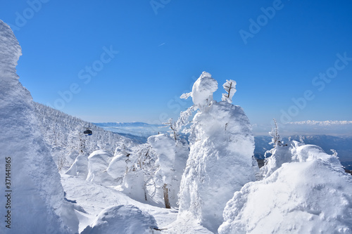 冬晴れの蔵王温泉スキー場と樹氷群