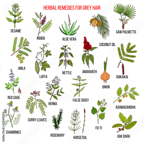 Best herbal remedies for gray hair