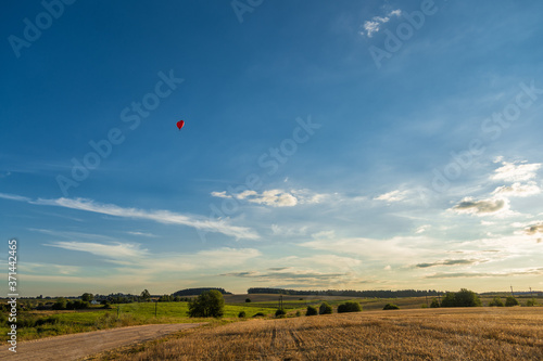 Red heart shaped balloon on landscape background