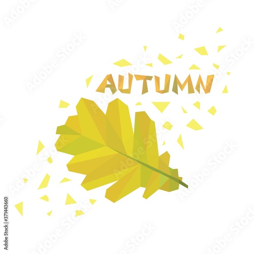 Low polygonal oak leaf on white background. Autumn leaf. Vector illustration