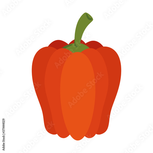 fresh pepper vegetable in white background vector illustration design