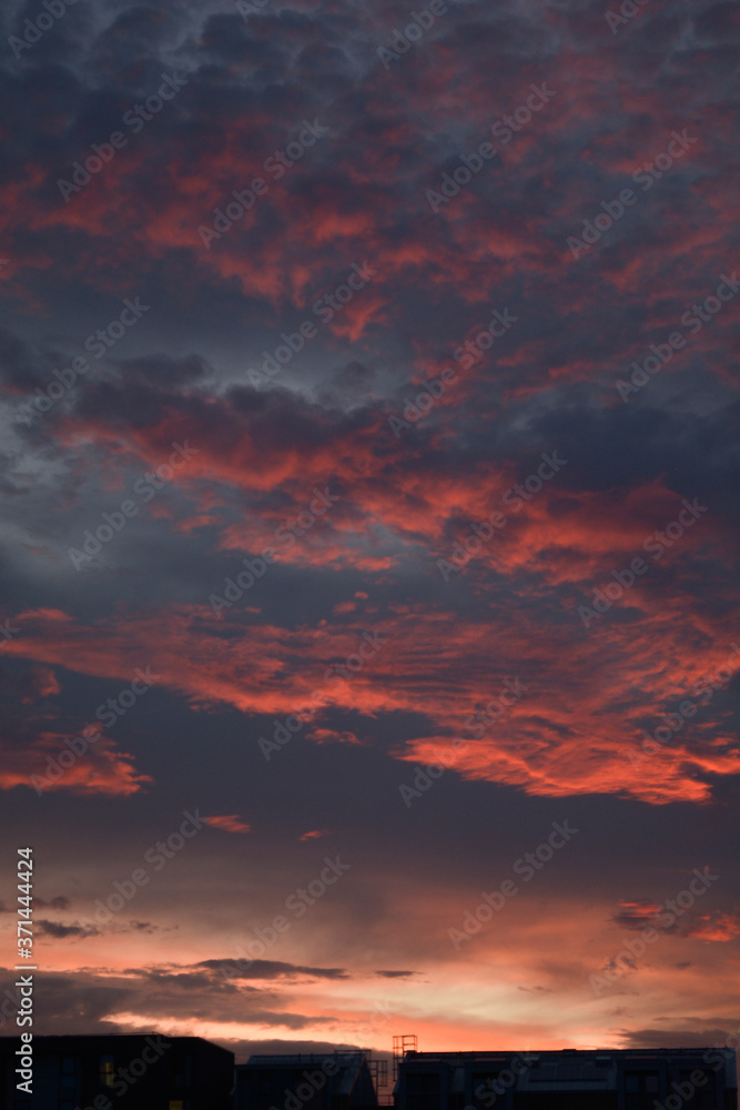 Abstract vertical image of the pink and blue sky at sunset 
