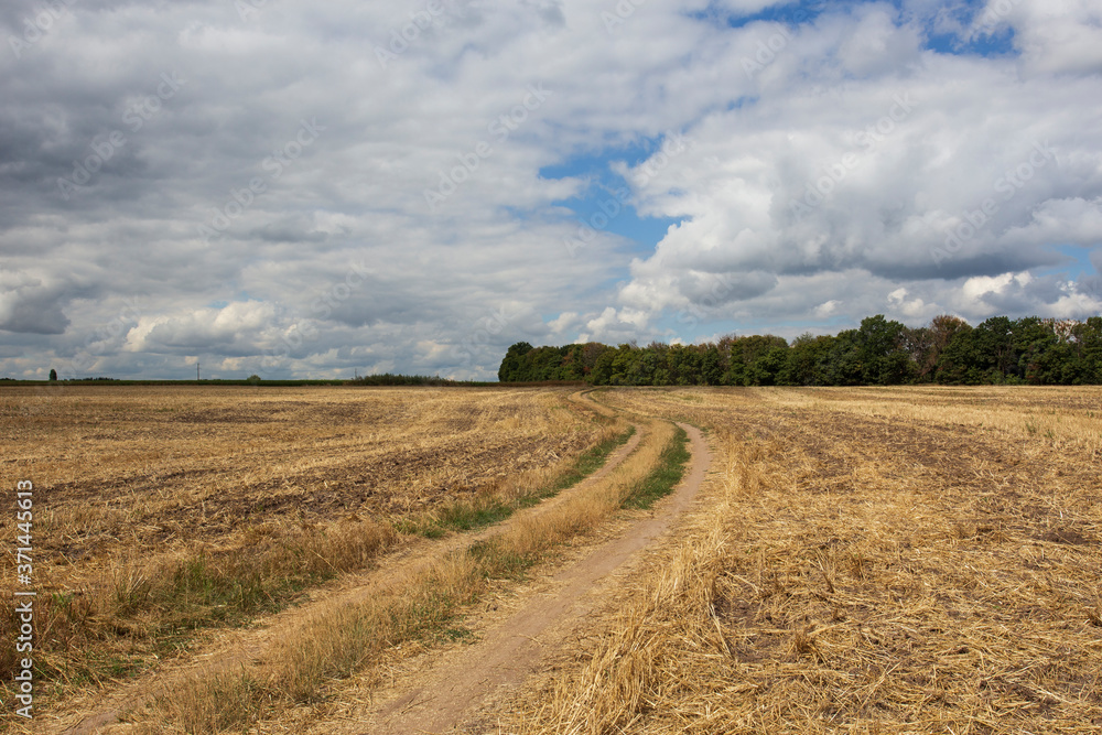 Fototapeta premium Road in a field with clouds in the background