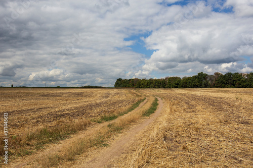 Road in a field with clouds in the background