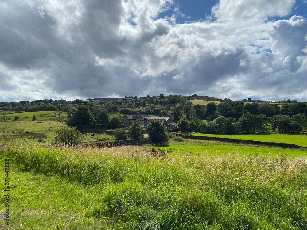Obraz premium Landscape view, of fields, long grasses, farm buildings, on a cloudy day near, Bradford, Yorkshire, UK