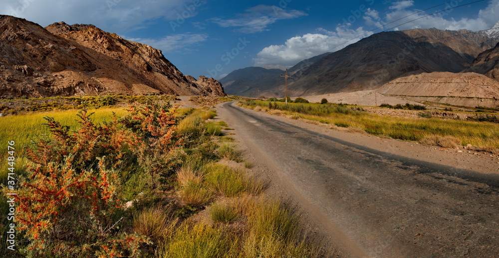 Central Asia. Tajikistan. Sea buckthorn with ripe fruits along the Pamir highway. Central Asia. Tajikistan. Sea buckthorn with ripe fruits along the Pamir highway.