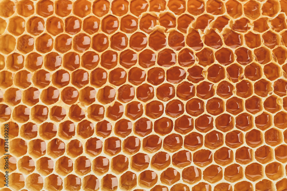 Fresh honeycomb on whole background, close up Fresh honeycomb on whole background, close up