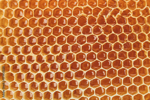 Fresh honeycomb on whole background, close up