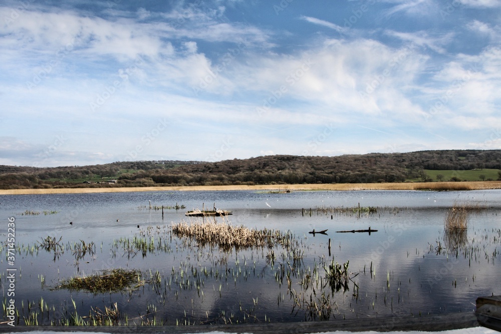 A view of Leighton Moss Nature Reserve A view of Leighton Moss Nature Reserve