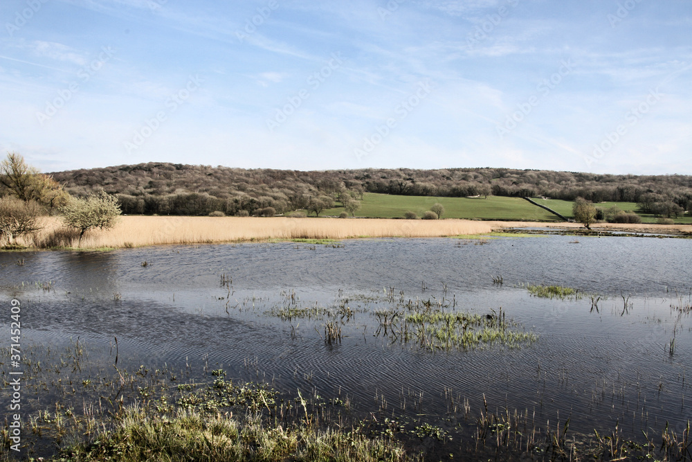 A view of Leighton Moss Nature Reserve