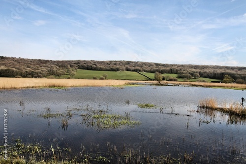 A view of Leighton Moss Nature Reserve