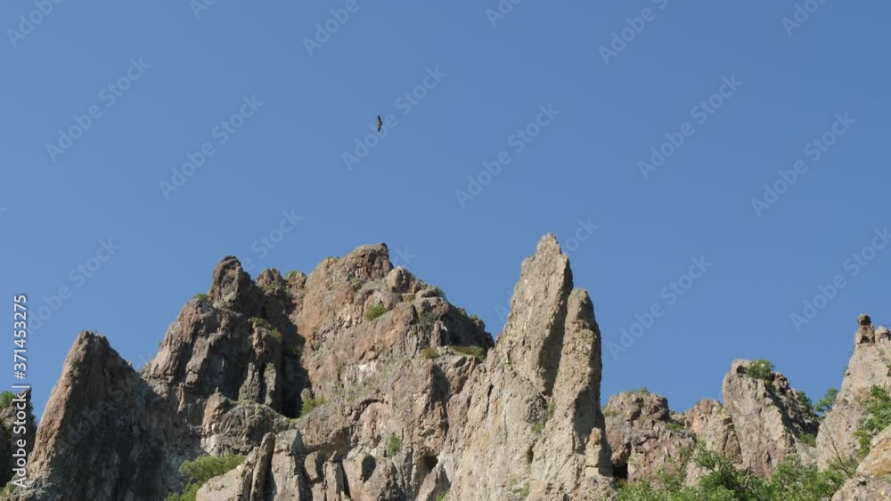 Griffon Vulture in flight over rocks. Arround Madjarovo, Bulgaria in Europe. Slow motion 4K video.
Griffon Vulture in flight over rocks. Arround Madjarovo, Bulgaria in Europe. Slow motion 4K video.
