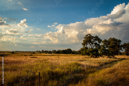 evening steppe landscape with blue sky and clouds