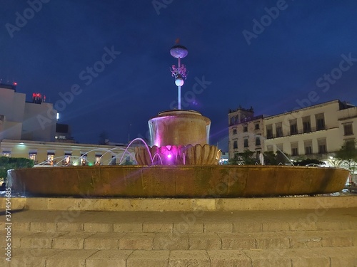 Canvas Print fountain in moscow