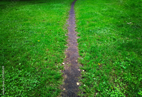 Narrow park path green grass background