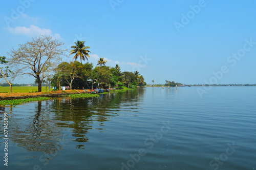 Beautiful scenery of backwaters 