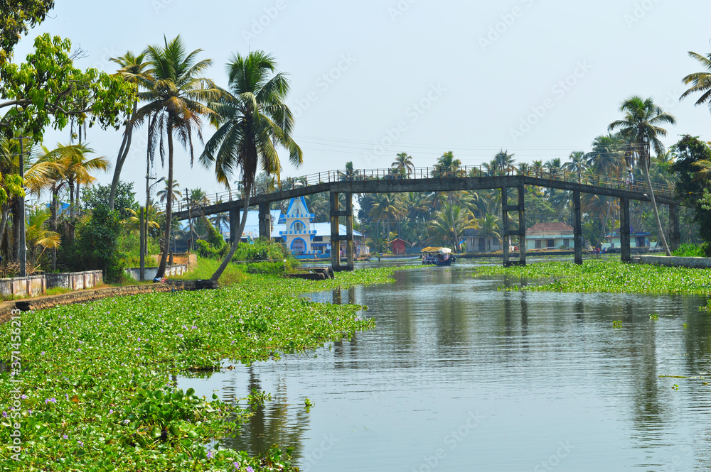 Beautiful scenery of backwaters with a pedestrial bridge in view.