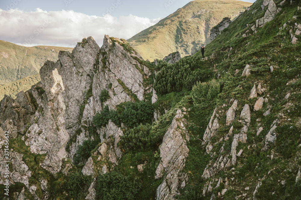 A rocky mountain with trees in the background