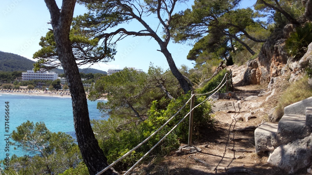 Fototapeta premium Küstenwanderweg Canyamel, Mallorca