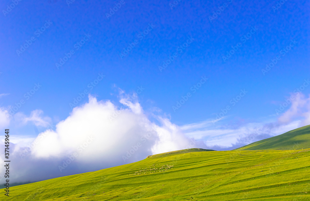 Obraz premium Flock of sheeps with shephard in green nature highlands surounded by clouds and hills. Coutryside and farming in caucasus.Backgroud image with blank space.