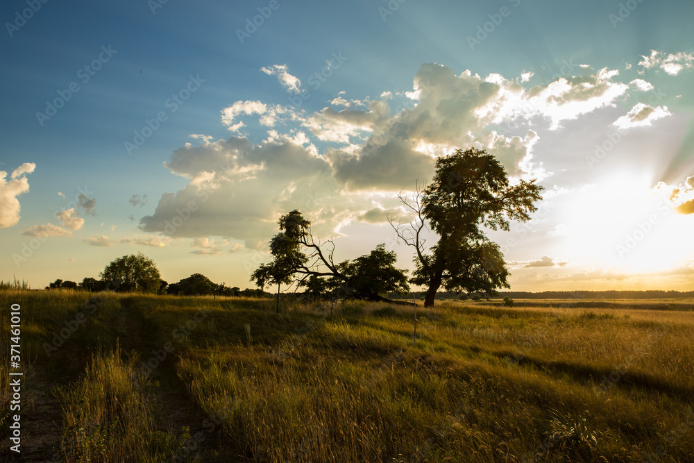 steppe landscape with the setting sun