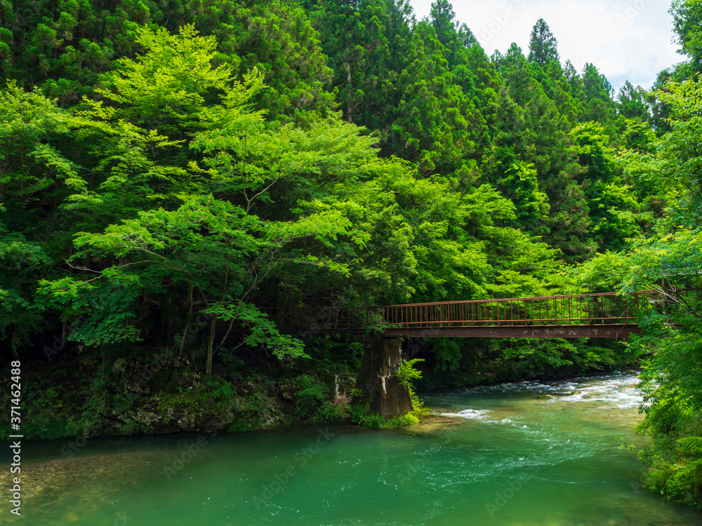 渓谷と鉄橋 渓谷と鉄橋