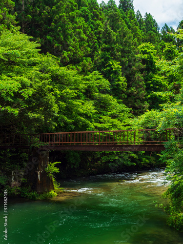 渓谷と鉄橋