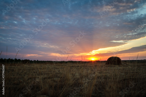 morning steppe landscape. sunrise over the field