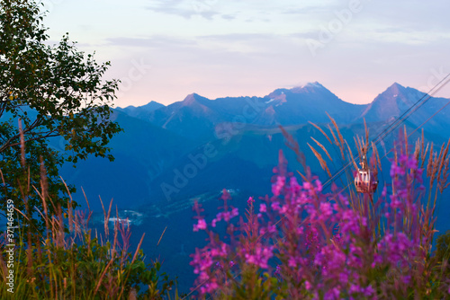 Fototapeta Naklejka Na Ścianę i Meble -  Sunset in the mountains, view of the mountains and funicular, flowers in the foreground