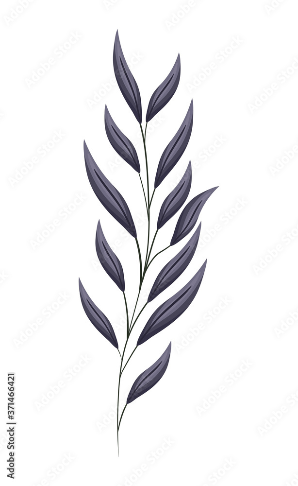 dark blue leaves painting design of Natural floral nature and plant theme Vector illustration
