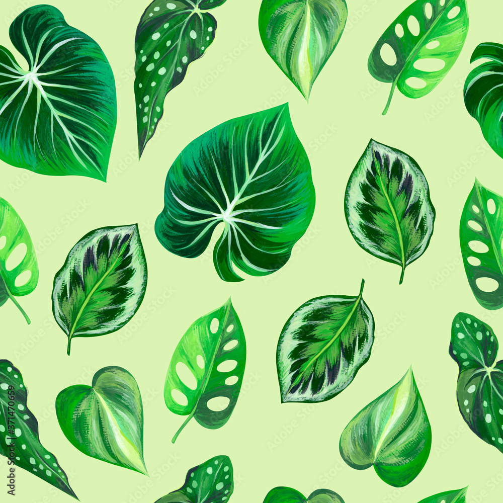 Seamless pattern with leaves. Leaves of home plants hand-drawn in gouache.