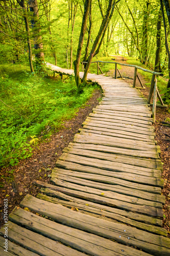 Wooden board path leading to nature with green tress and nature around. Way to nature and forest.