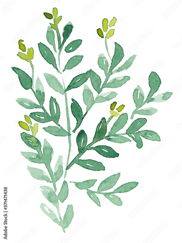 Branches full of small green leaves hand painted with watercolors. Illustration perfect for creating cards, invitations, wedding design, background, texture, wrapper pattern, frame or border.